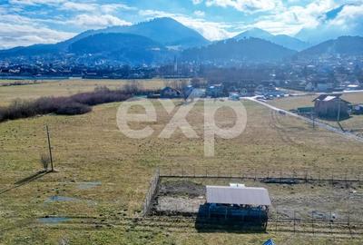 Teren Construcții extravilan de 3120 mp, în Turcheș - 16