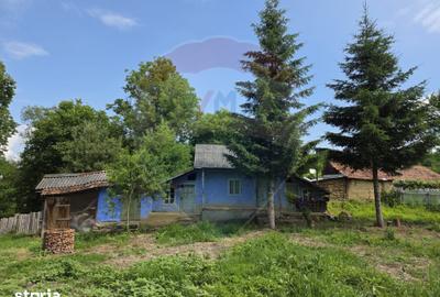 Casă cu 4 camere cu Teren 3686 Mp în Buciumi