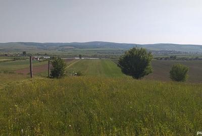 Teren de 18000 mp, în Feldioara - 6