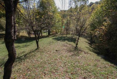 Teren agricol intravilan de 2109 mp, în Podul lui Neag - 2