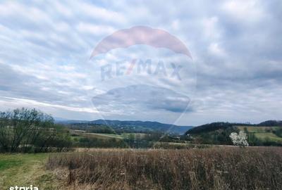 Teren de 5240 mp, în Copalnic