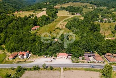 Casă individuală cu 3 camere cu Teren 3288 Mp în Bucea - 16