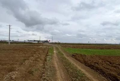 Teren de 2500 mp, în Horodnic - 3