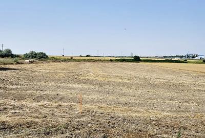 Teren Construcții intravilan de 300 mp, în Sud - 2