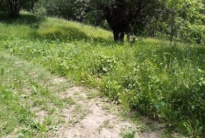 Teren de 3999 mp, în Șerbănești (Sălătrucel)