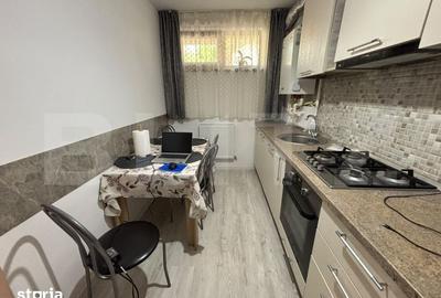 Apartament cu 2 camere în Valea Lupului