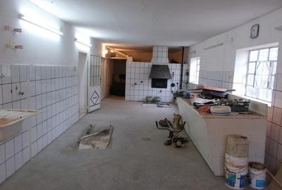 Casă individuală cu 5 camere cu Teren 1689 Mp în Pădureni (Jebel) - 6