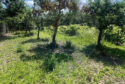 Casă individuală cu 4 camere cu Teren 1433 Mp în Moara - 9