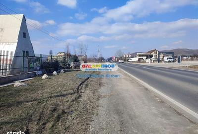 Teren de 9600 mp, în Aninoasa - 6