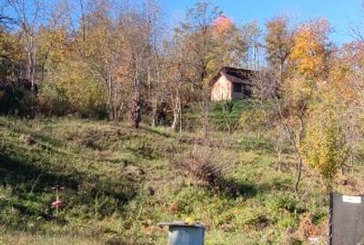 Teren Construcții intravilan de 5400 mp, în Drăgăneasa - 5