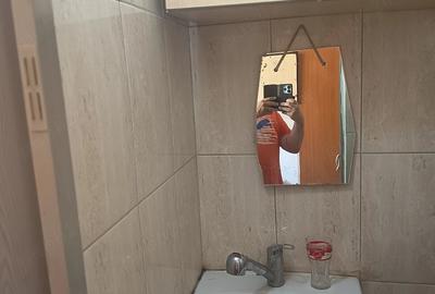 Garsonieră nedecomandată în Calea Aradului - 1