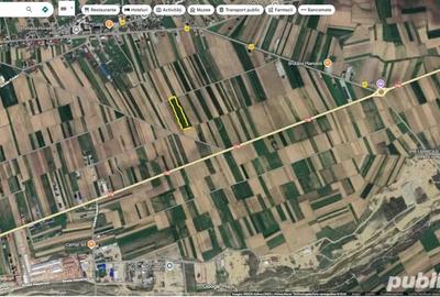 Teren de 4479 mp, în Horodnic - 2