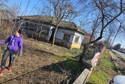 Teren de 3300 mp, în Brăniștari - 5