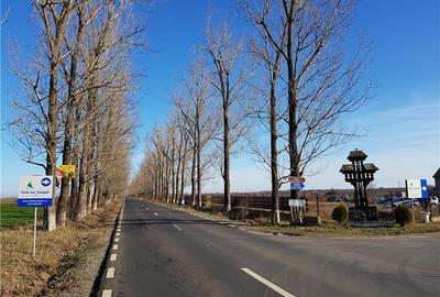 Teren de 3660 mp, în Ciolpani - 9