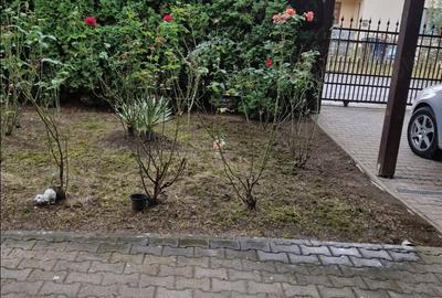 Casă cu 3 camere cu Teren 800 Mp în Sâncraiu de Mureș - 2