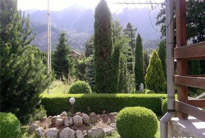 Teren de 1747 mp, în Piatra Arsă - 9