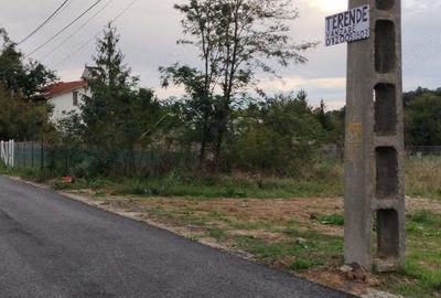 Teren de 4450 mp, în Gruiu - 3