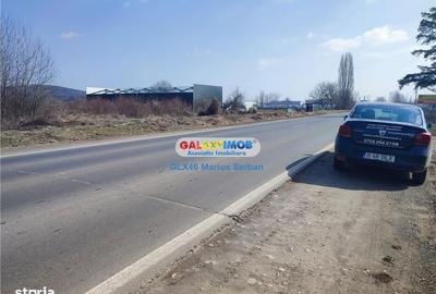 Teren de 9600 mp, în Aninoasa - 4