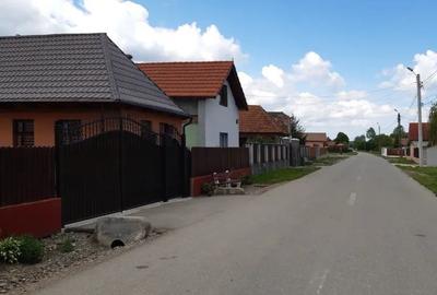 Teren de 5000 mp, în Hărman