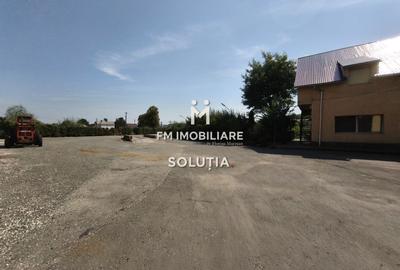 Spațiu industrial, de 3,500 mp, în Exterior Vest - 5