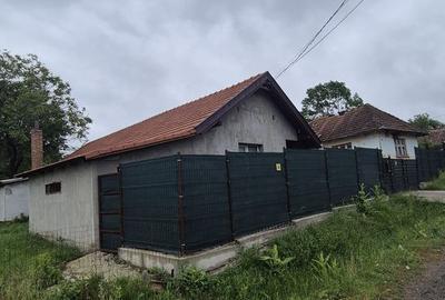 Casă cu 3 camere cu Teren 3300 Mp în Crișeni - 12