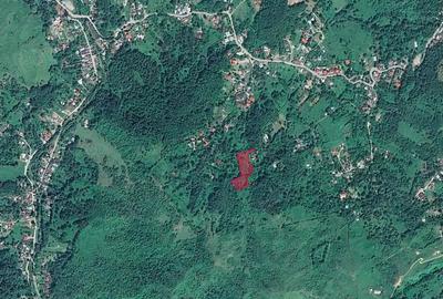 Teren de 6376 mp, în Valea Târsei - 1