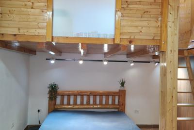 Casă individuală cu 6 camere cu Canalizare în Iancului - 15