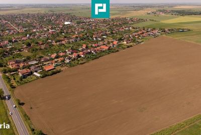 Spațiu comercial, în Șofronea - 6