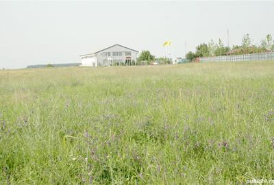 Teren de 8000 mp, în Otopeni - 8