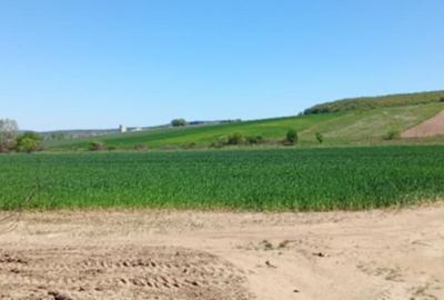 Teren de 4100 mp, în Central