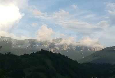 Teren de 9428 mp, în Bran - 3