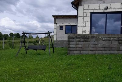 Casă cu 3 camere în Bălnaca - 5