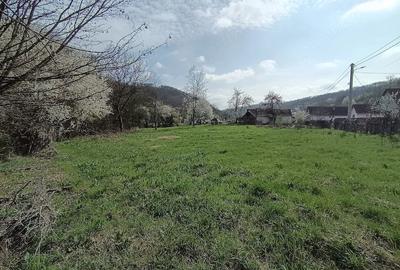 Teren de 1563 mp, în Central - 2