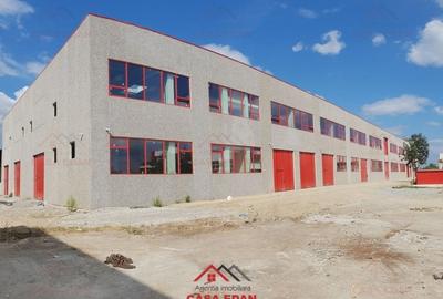 Spațiu industrial, de 13,000 mp, în Băicoi - 2
