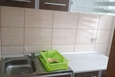 Garsonieră în Buziașului