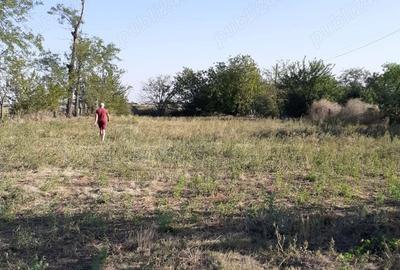 Teren de 2772 mp, în Găgeni - 10