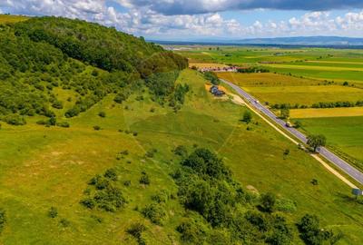 Teren agricol extravilan de 24911 mp, în Nord - 3