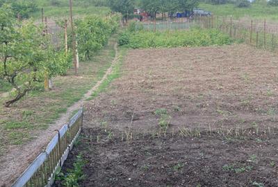Teren de 2000 mp, în Dezmir - 1