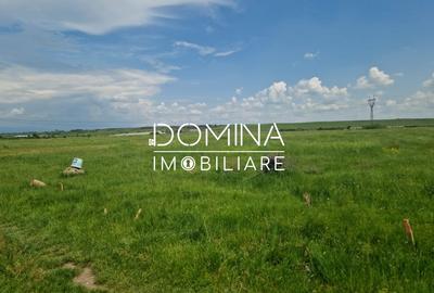 Teren agricol extravilan de 2897 mp, în Preajba - 5