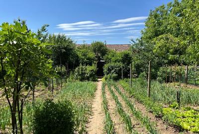 Casă individuală cu 4 camere cu Canalizare în Valea Lungă - 4