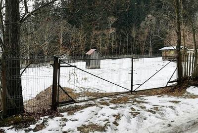 Teren de 3386 mp, în Borca - 3