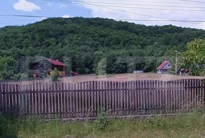 Teren în Eremitu - 2