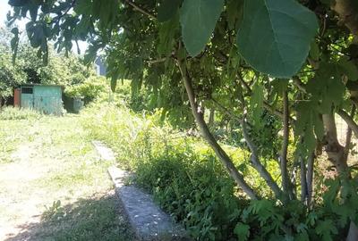 Teren intravilan de 1000 mp, în Kamsas - 4