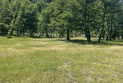 Teren de 16800 mp, în Valea lui Stan - 3
