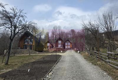 Teren Construcții intravilan de 2500 mp, în Valea Doftanei - 9