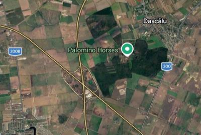 Teren de 4500 mp, în Dascălu