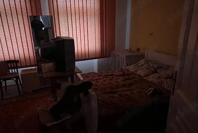 Casă cu Teren 1439 Mp în Sintești - 5