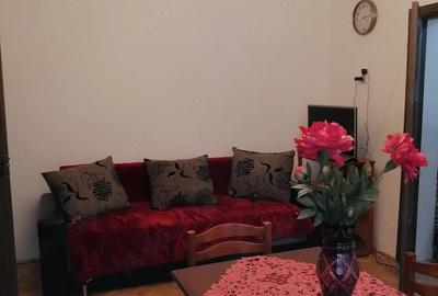 Apartament cu 2 camere semidecomandat în Podgoria - 2