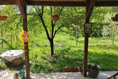 Casă cu 4 camere cu Teren 530 Mp în Răzvad - 9