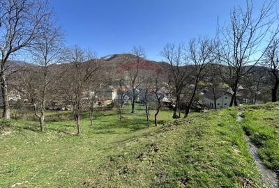 Teren Construcții intravilan de 1106 mp, în Firiza - 8